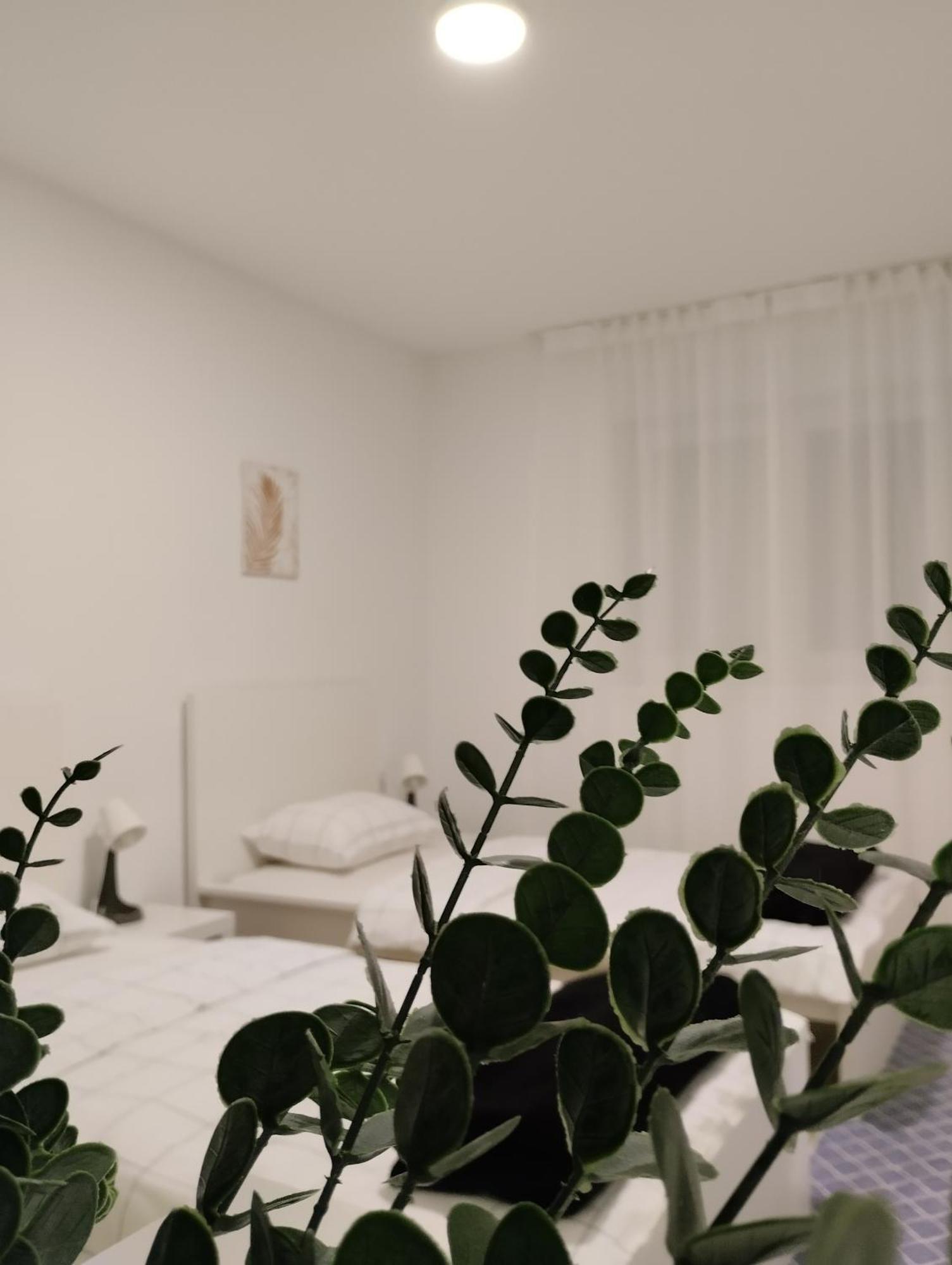 Marija Apartman Osijek Exterior photo
